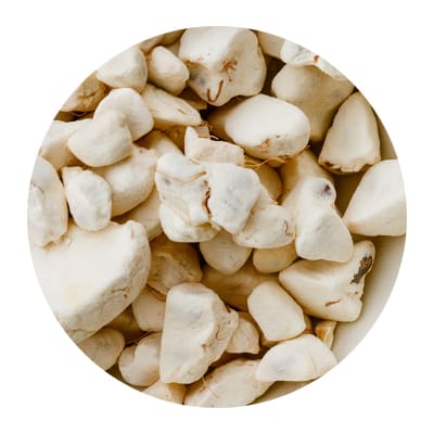 baobab