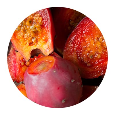 prickly pear