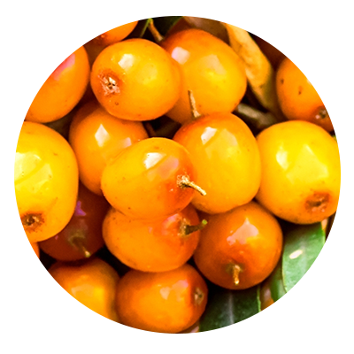 seaberry